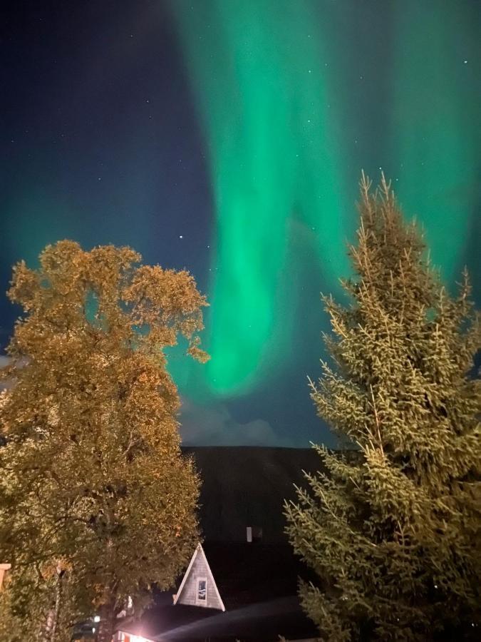 Tromso Arctic Villa With Free Parking Eksteriør billede