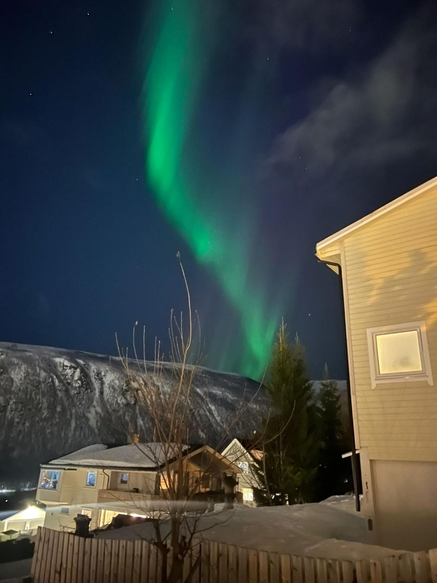 Tromso Arctic Villa With Free Parking Eksteriør billede