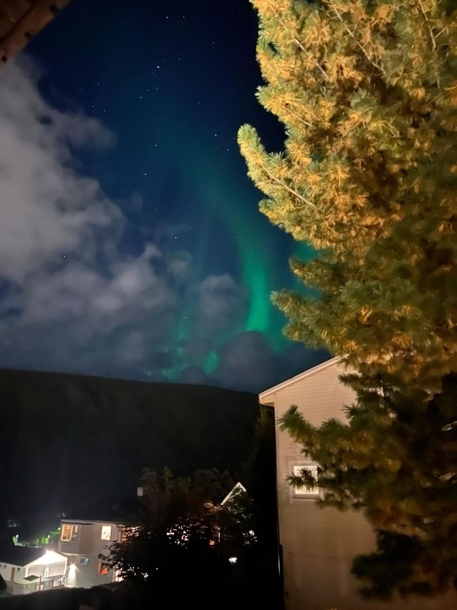Tromso Arctic Villa With Free Parking Eksteriør billede